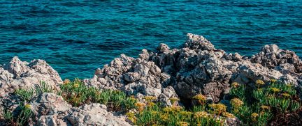 Rent Performance SUV Antibes