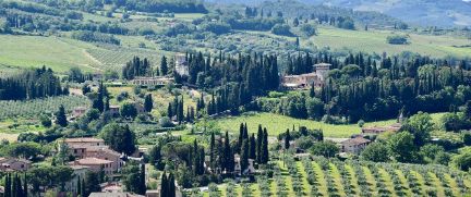 Rent Performance SUV Florence