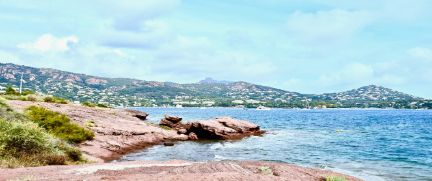 Rent Executive Car Nice