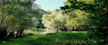 Rent Convertible Sportscars France