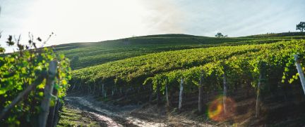 Rent Luxury SUV Italy