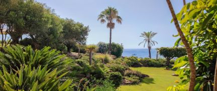 Rent Convertible Supercar Marbella