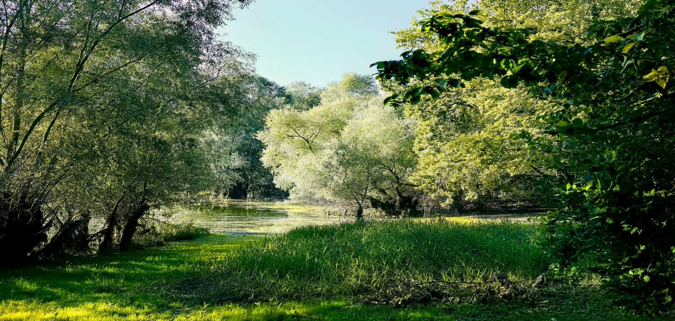 Rent a Convertible Sports Car in France