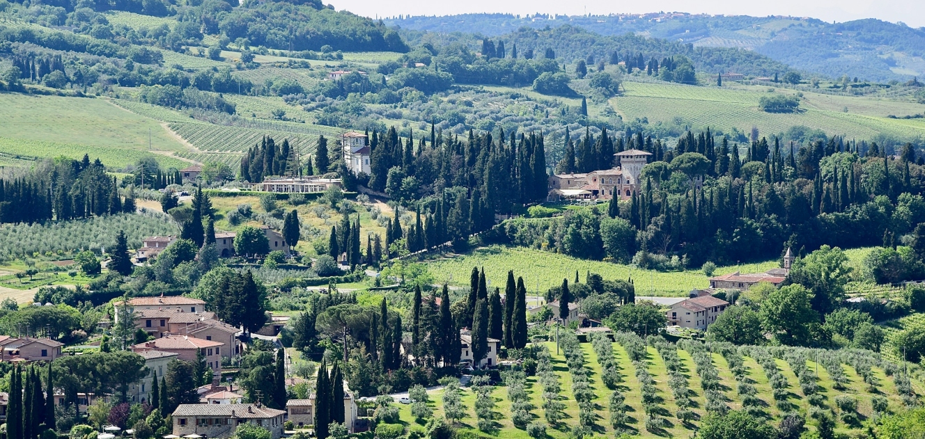 Rent a Performance SUV in Florence